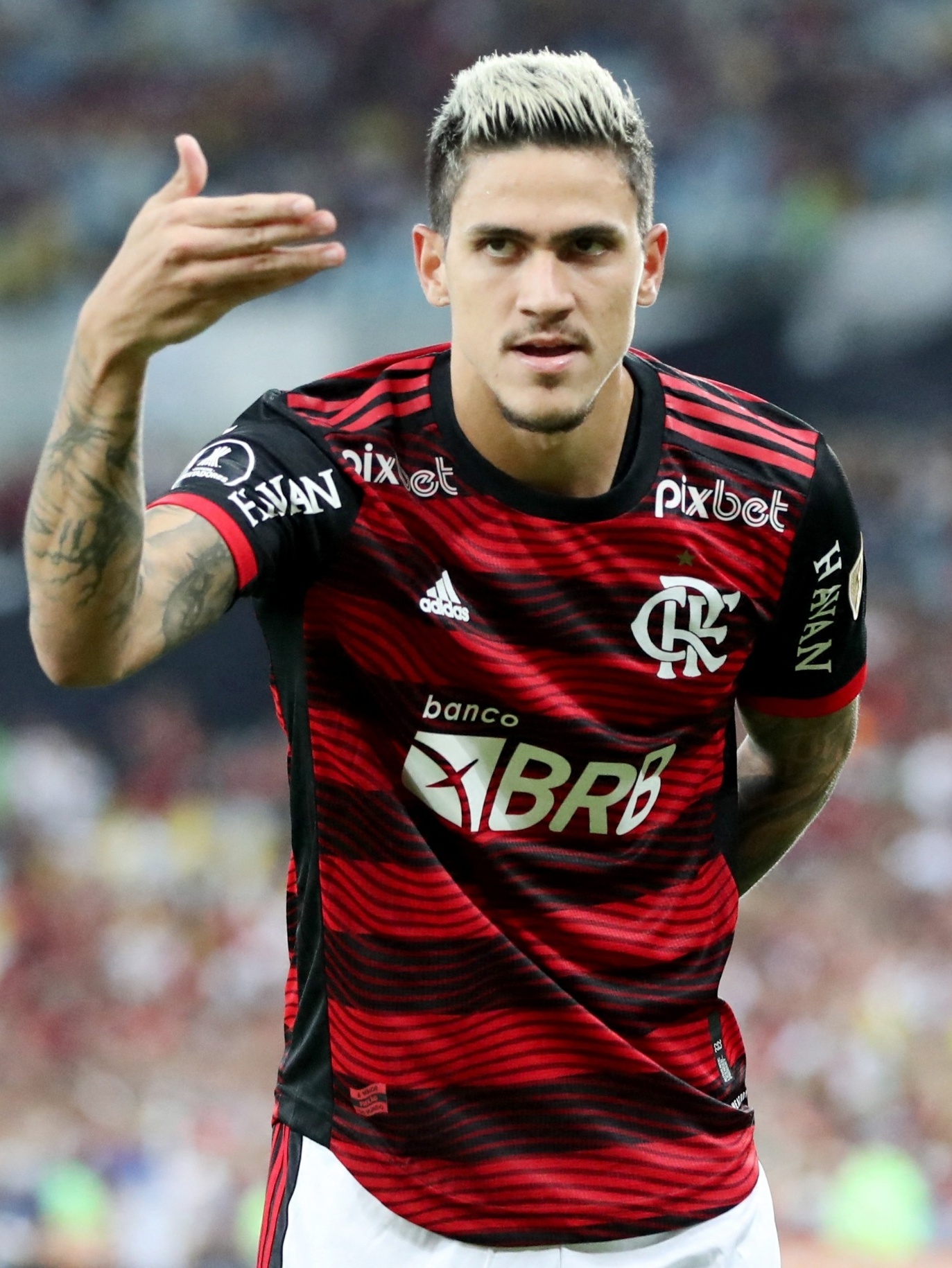 pedro do flamengo http://www.otvfoco.com.br/wp-content/uploads/2015/05/Daniela-Mercury.jpg