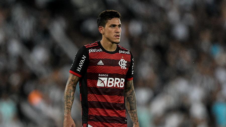 pedro flamengo http://www.otvfoco.com.br/wp-content/uploads/2015/05/Daniela-Mercury.jpg