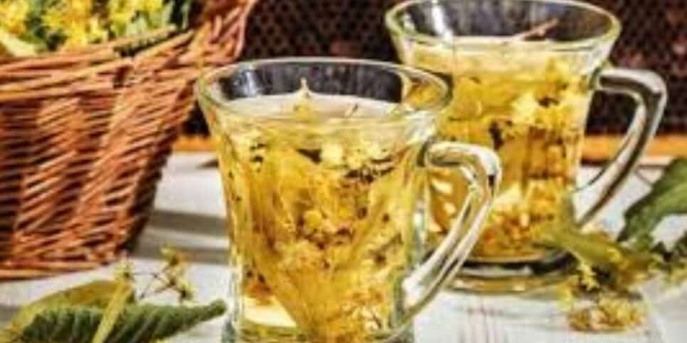 Chá de carqueja