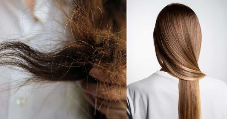 Cabelo danificado e saudáveis (Fotos: Reproduções / Freepik)