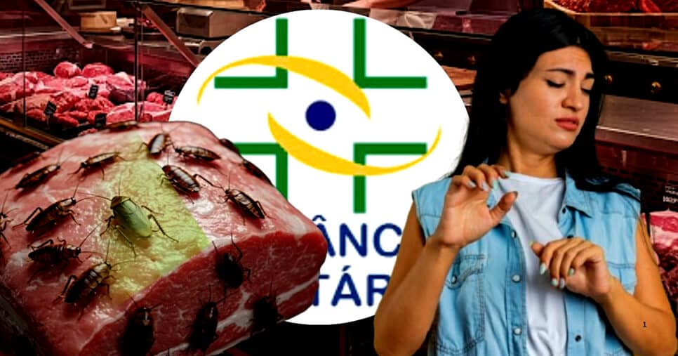 Açougue nº1 sofre interdição após carne com baratas (Foto Reprodução/Montagem/Tv Foco/Canva/Lennita/Tv Foco)