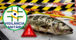 Imagem PreCarregada