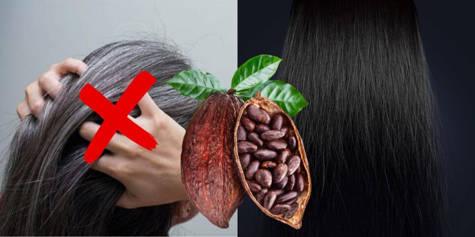 Fim do cabelo grisalho com tinta de cacau (Reprodução: Montagem TV Foco)