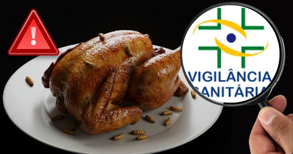 Frango infestado com larvas (Foto Reprodução/Montagem/Tv Foco/Canva/Lennita)