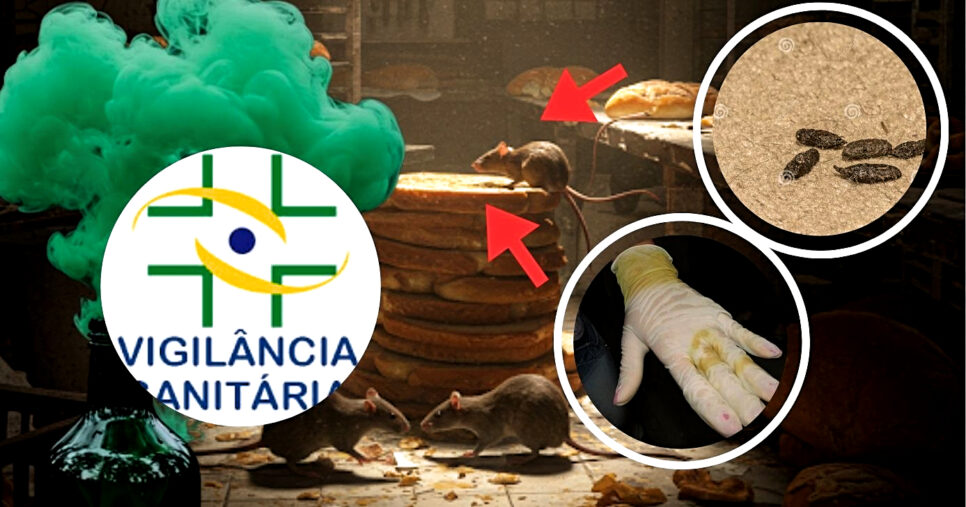 Padaria é encontrada em estado deplorável em Maceió, AL e é interditada pela Vigilância Sanitária (Foto Reprodução/Montagem/Tv Foco/Lennita/Canva)