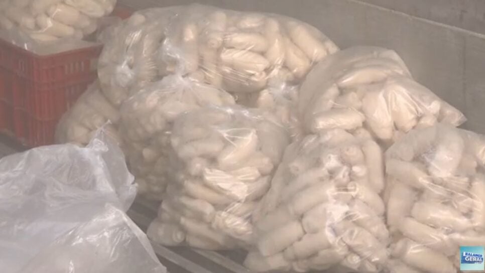 Os produtos foram devidamente descartados (Foto Reprodução/NDTV)