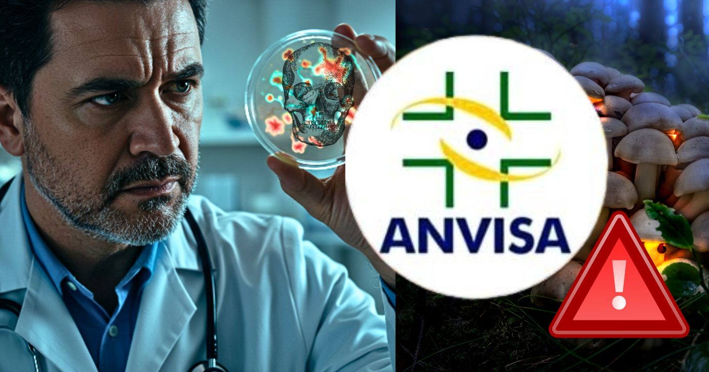Comunicado da ANVISA sobre fungo perigoso deixa brasileiros em alerta (Foto Reprodução/Montagem/Tv Foco/Canva/Lennita)