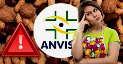 ANVISA traz alerta para donas de casa que consomem castanhas (Foto Reprodução/Montagem/Tv Foco/Canva/Lennita)
