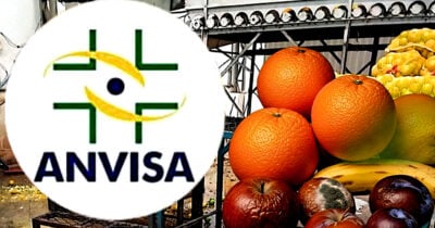 Lacre de duas fábricas de suco em SP liga alerta da ANVISA (Foto Reprodução/Montagem/Tv Foco/Canva/Lennita)