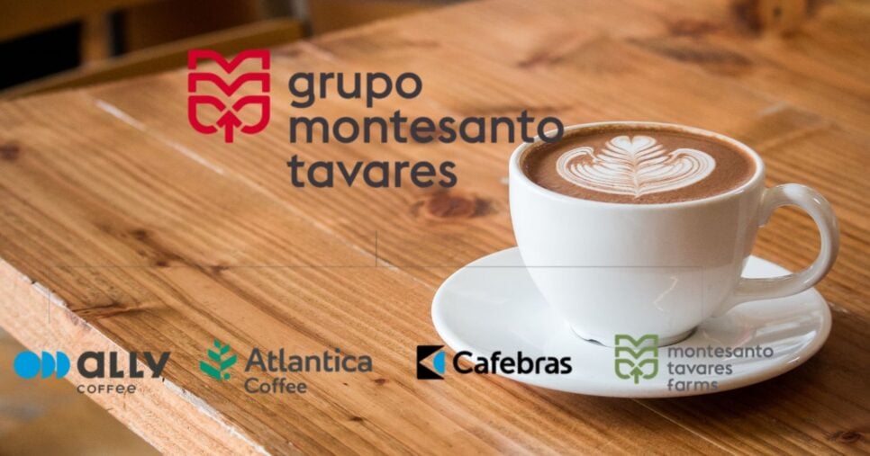 Empresas que compõe o Grupo Montesanto Tavares (Foto Reprodução/Montagem/site oficial/Lennita/Canva)