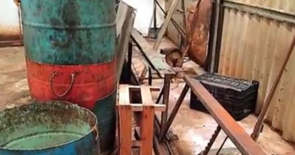 Caixotes e mais instrumentos sujos e enferrujados (Foto Reprodução/Canal Rural)
