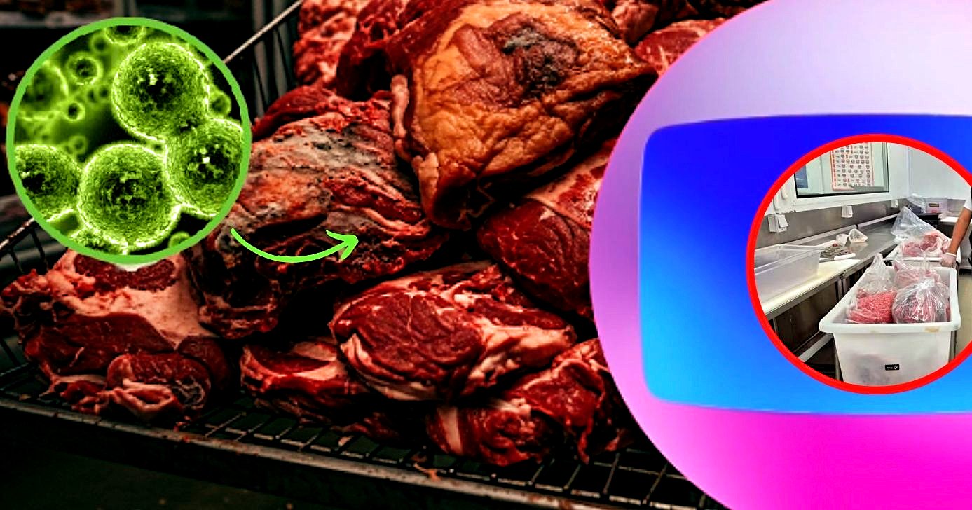 Globo desmascara supermercado após mofo e nojeira em carnes e alimentos (Foto Reprodução/Montagem/Tv Foco/Canva/Lennita)