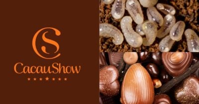 Logo Cacau Show, ilustração de larvas e chocolates (Fotos: Reproduções / Internet / Canva)