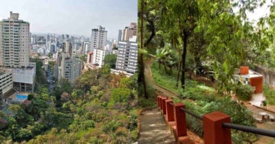 Parque Mata das Borboletas e Tom Jobim (Foto: Divulgação)