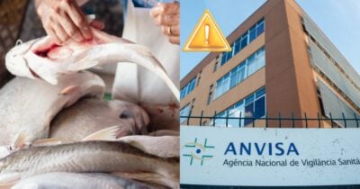 Peixe tóxico: Descoberta fatal no MA levanta alerta da ANVISA (Foto: Reprodução/ Internet)