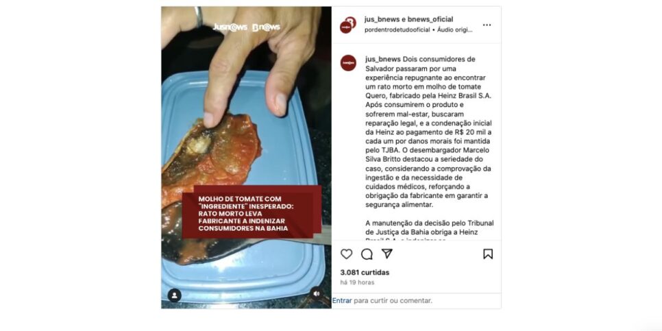 Suposto rato em molho  (Foto: Reprodução / Instagram) 