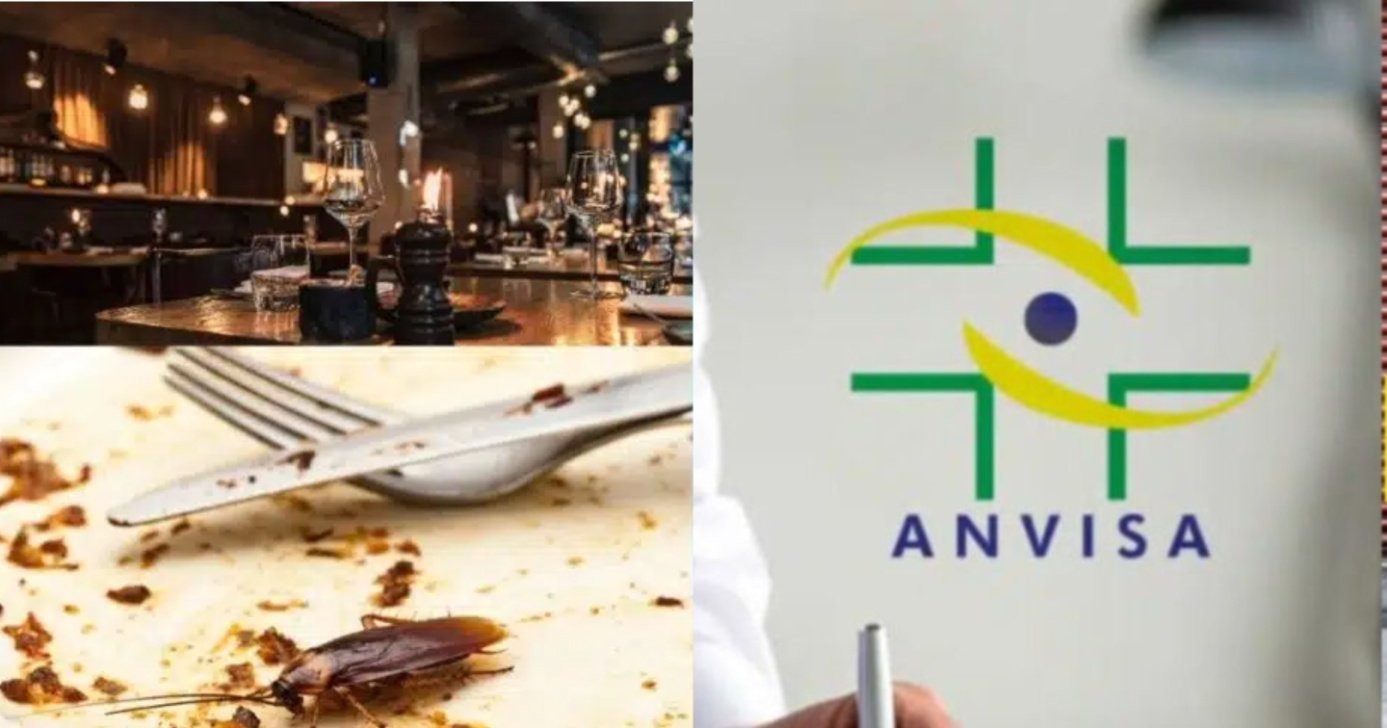 fechamento da Anvisa em 3 restaurantes de shopping famoso - Montagem / TV FOCO