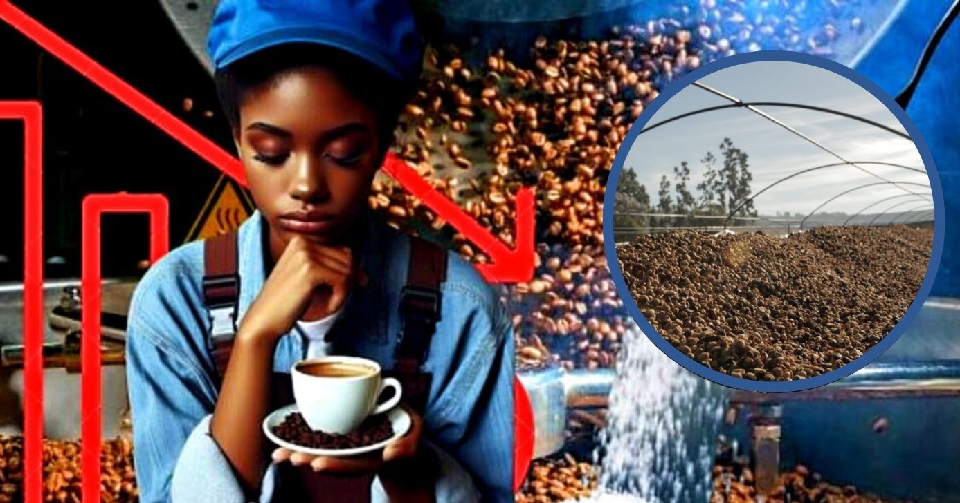 Gigante do café apela contra a falência (Foto Reprodução/Canva/Lennita/Tv Foco/AI)