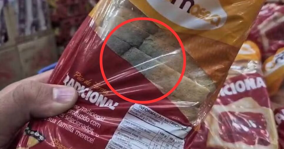 Pão mofado (Foto Reprodução/G1)