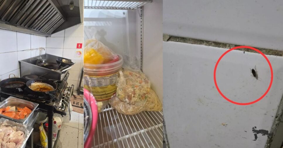 Restaurantes são interditados após nojeira e comida podre (Foto Reprodução/Montagem/Vigilância Sanitária)