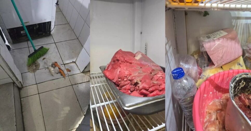 Restaurantes são interditados após nojeira e comida podre (Foto Reprodução/Montagem/Vigilância Sanitária)