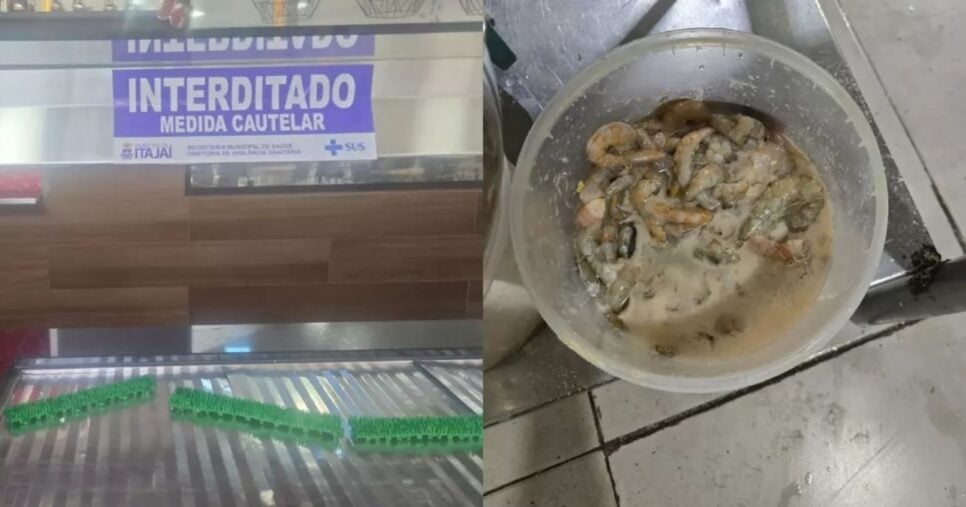 Restaurantes são interditados após nojeira e comida podre (Foto Reprodução/Montagem/Vigilância Sanitária)