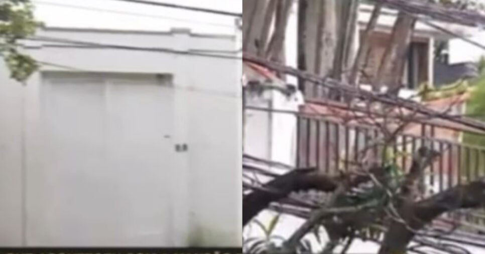 Detalhes da mansão (Foto: Reprodução/Montagem TV Foco)