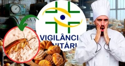 Padaria é interditada após insalubridade e passe livre de baratas e insetos (Foto Reprodução/Montagem/Lennita/Tv Foco/Canva)