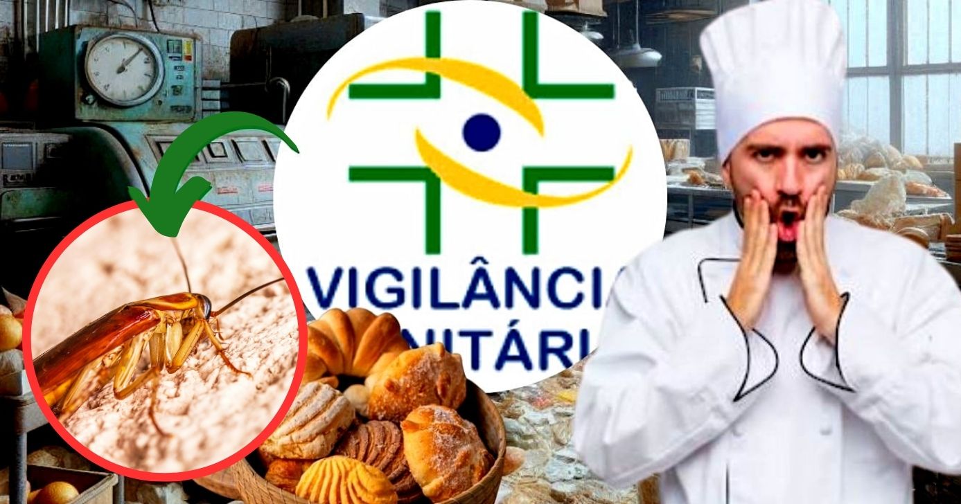 Padaria é interditada após insalubridade e passe livre de baratas e insetos (Foto Reprodução/Montagem/Lennita/Tv Foco/Canva)