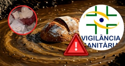 Padaria clandestina é interditada após manipular alimentos em meio a nojeira e esgoto (Foto Reprodução/Montagem/Lennita/Tv Foco/Canva)