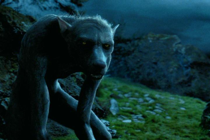 1290054926_Werewolf