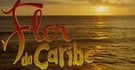 flor-do-caribe