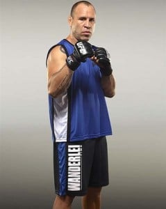 wanderlei