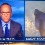 Repórter fazendo xixi ao vivo??? (Foto: Reprodução / NBC)