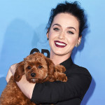 Vaza o número de celular da cantora Katy Perry; confira!