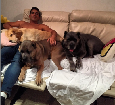 Imagem PreCarregada