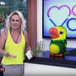 (Foto: Divulgação)