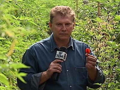 (Foto: Reprodução)