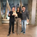 Apresentadores do "Melhor Pra Você" (Crédito/Fotos: Divulgação/RedeTV!)