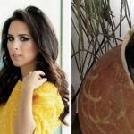Tatá Werneck lamenta a morte de sua gata de 15 anos Foto: Montagem