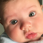 Cantor famoso baba o filho na internet: “Eu que fiz”