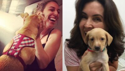 Natasha Dantas agora está 