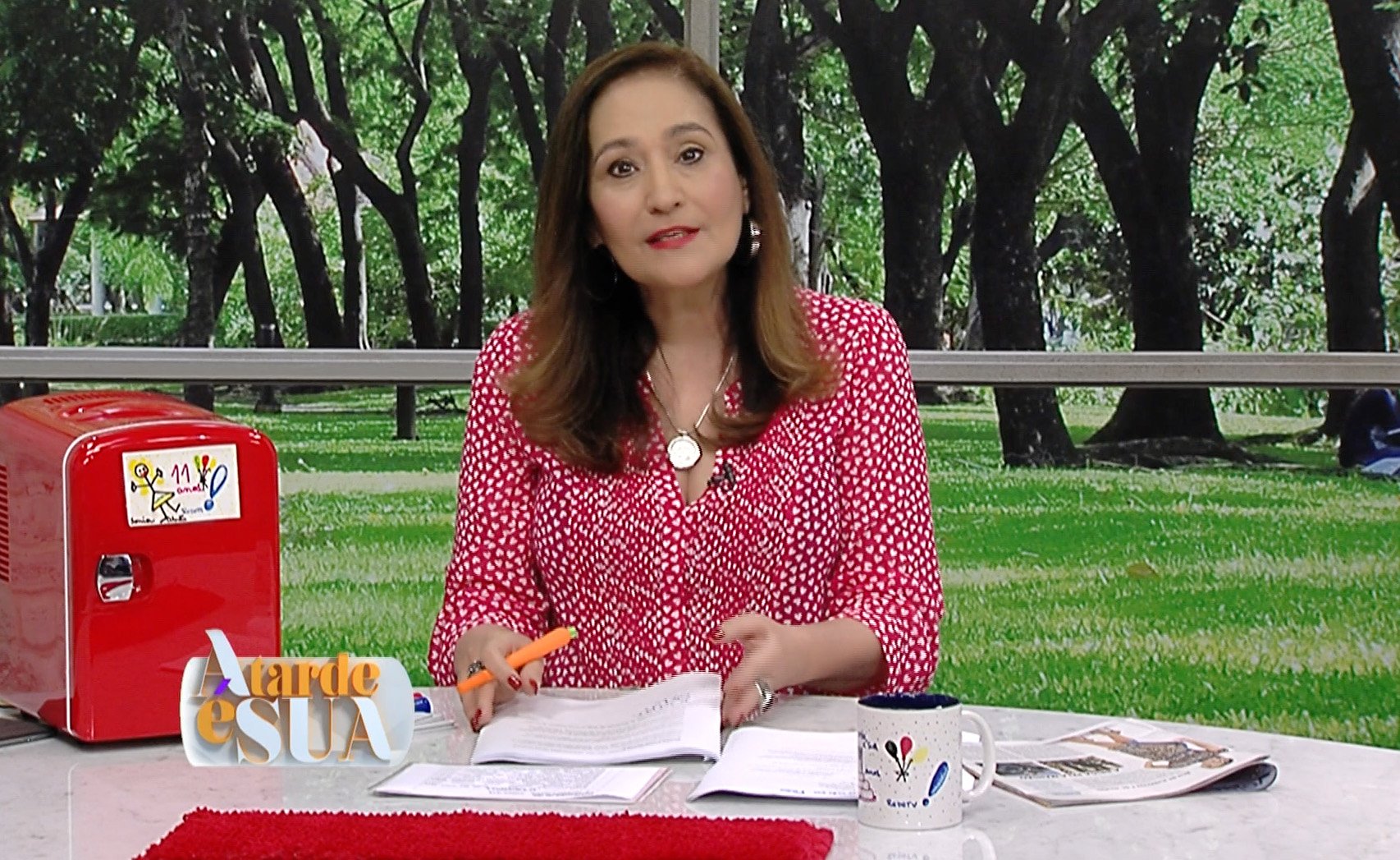 A Tarde é Sua de Sonia Abrão marcou ótima audiência (Crédito/Foto: Divulgação/RedeTV!)