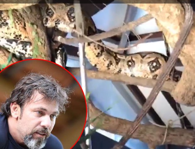 Marcelo Faria (Foto: Reprodução)