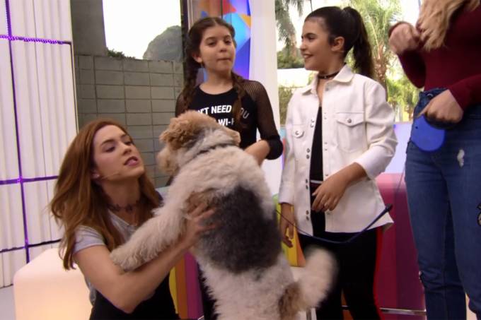Produção da Globo negou que o cachorro fosse anestesiado; revelação aconteceu no Vídeo Show (Foto: Reprodução)