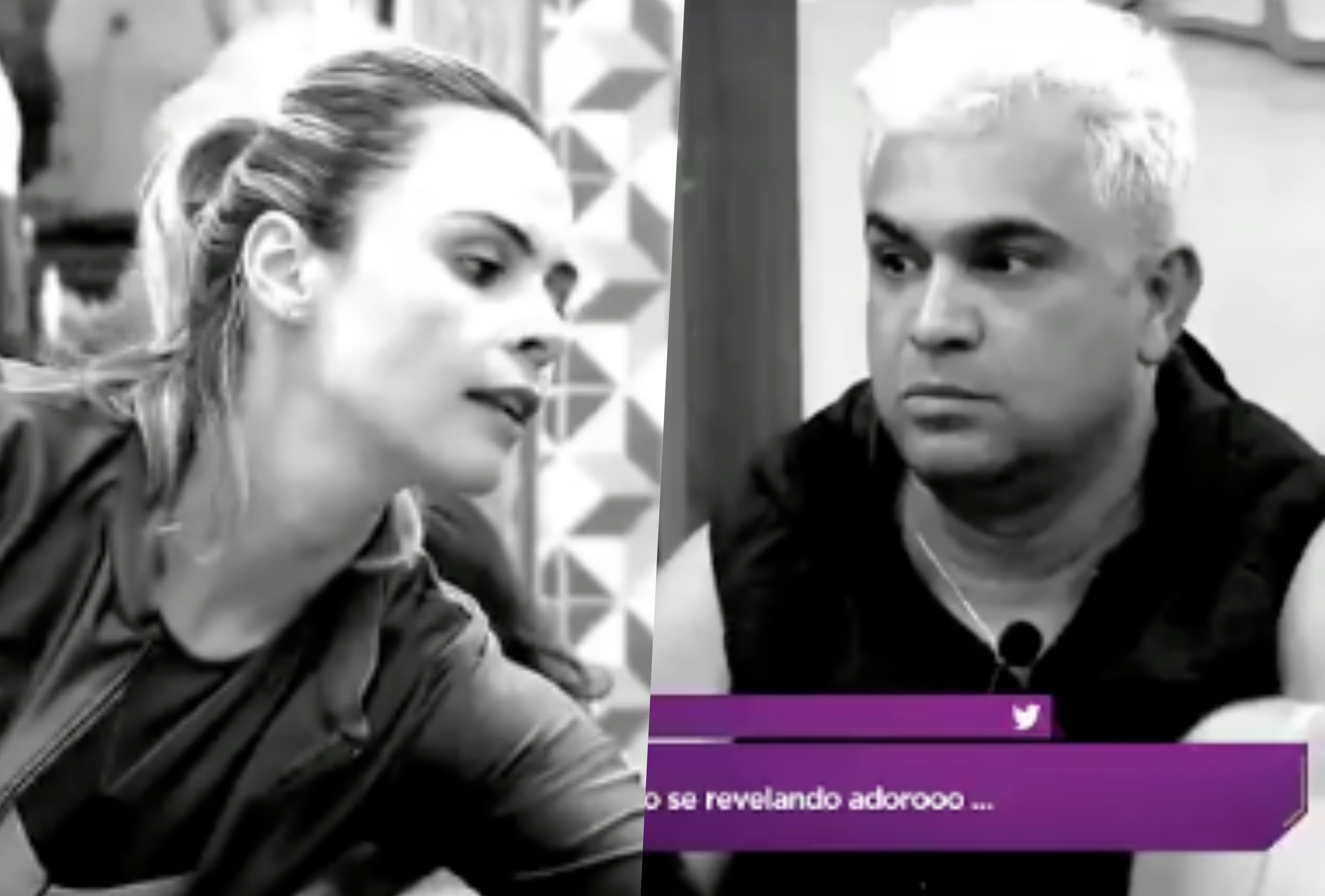 Ana Paula Renault brigou feio com Evandro santo na Fazenda