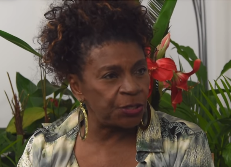 Zezé Motta (Foto: Reprodução)