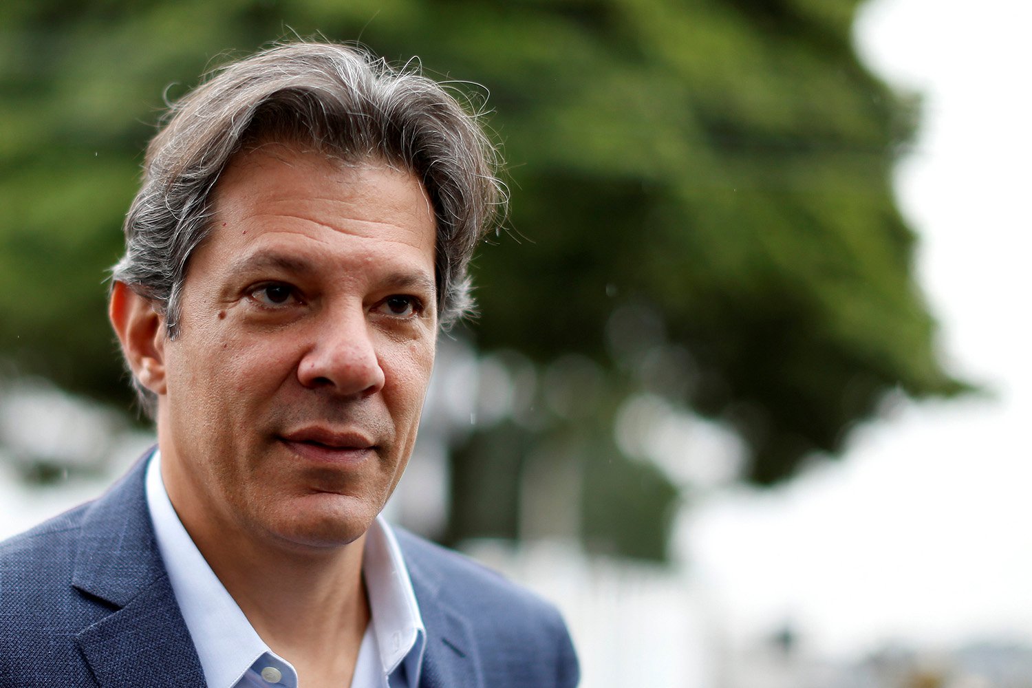Fernando Haddad (Foto: Reprodução)