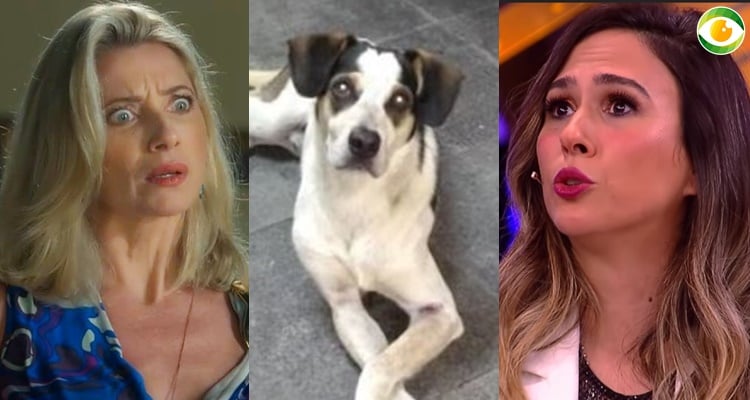 Tata Werneck e estrelas da Globo se revoltam