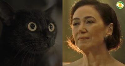 Valentina e o gato em O Sétimo Guardião, novela das nove. (Foto: Reprodução/Montagem)